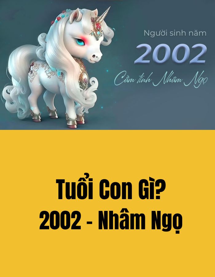 Sinh Năm 2002 Nhâm Ngọ Mệnh Gì? Tuổi Con Gì? Hợp Màu Gì?