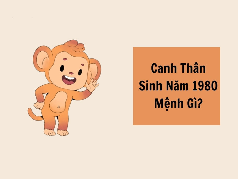 sinh năm 1980 mệnh gì tuổi con gì hợp màu gì phong thủy nhà ở