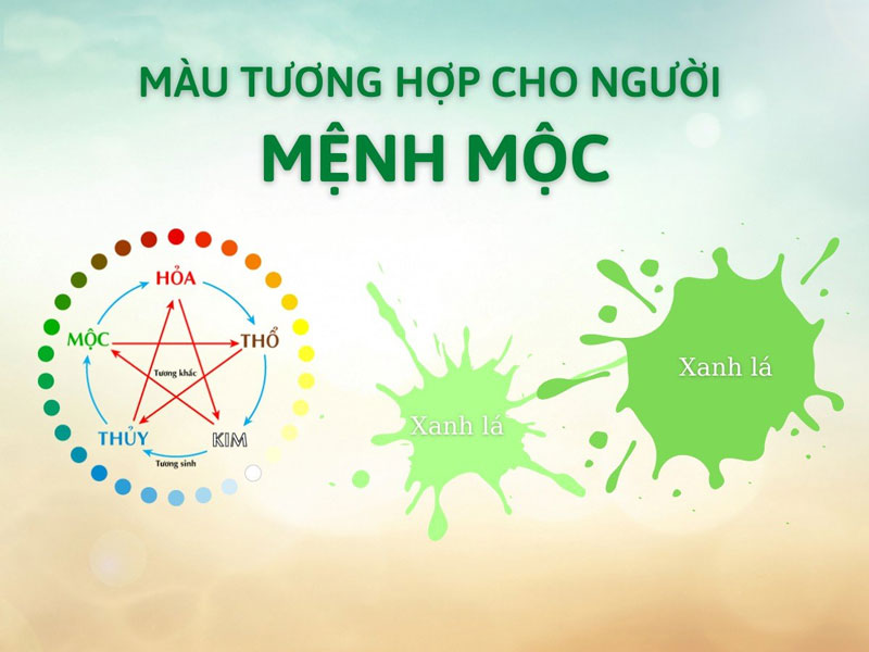 mệnh mộc hợp màu gì