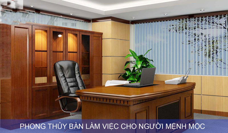 người mệnh mộc hợp gì